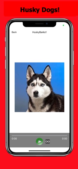 Husky Sounds & Dog Sounds!(圖3)-速報App