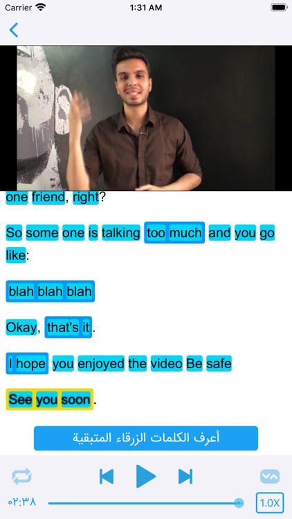 the linguist screenshot-4