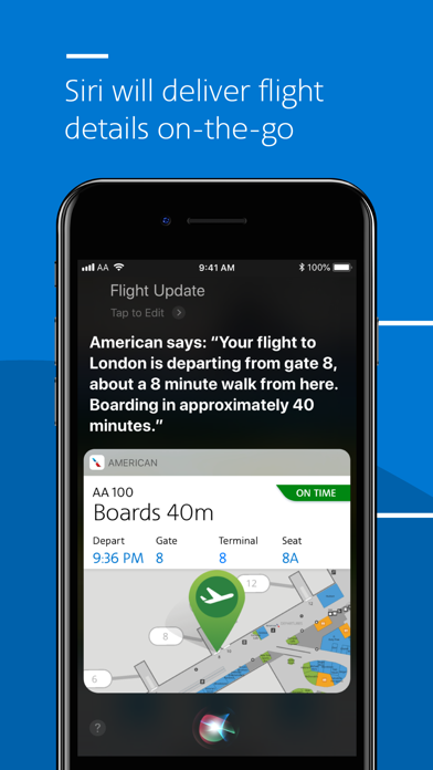 American Airlines Screenshot 3