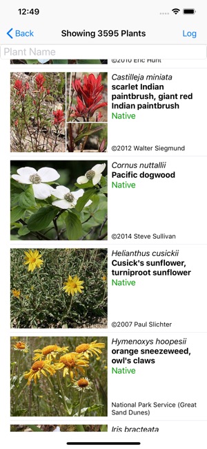 North California Wildflowers(圖2)-速報App