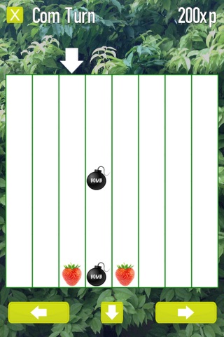 TtFruits screenshot 3