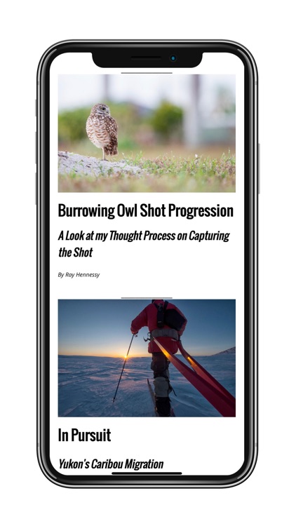 Wildlife Photographic Magazine screenshot-3