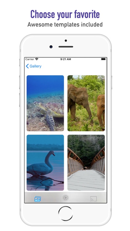 TurnLive - Live Wallpaper App screenshot-4