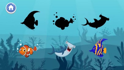 A to Z Aquatic Animals screenshot 3