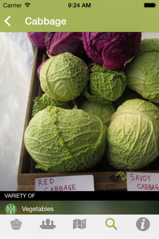 Union Square Greenmarket screenshot 3