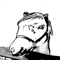 Robe du cheval - Quiz pour PC