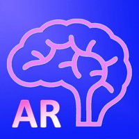 AR Human brain apk