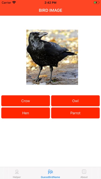 GuessBirdName