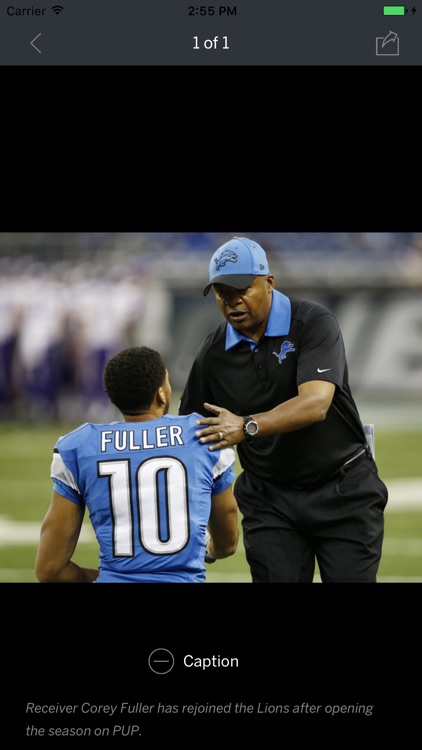 MLive.com: Detroit Lions News