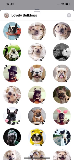 Lovely Bulldogs Sticker Pack(圖1)-速報App