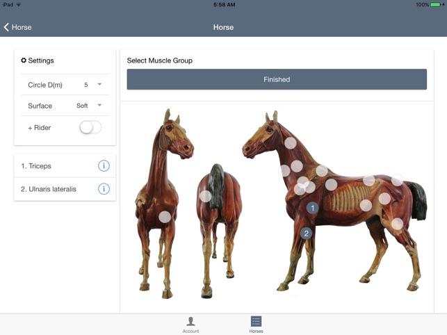 CURO Equine(圖3)-速報App