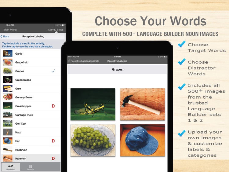 Language Builder® Pro