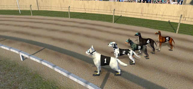 Crazy Dog Racing(圖1)-速報App