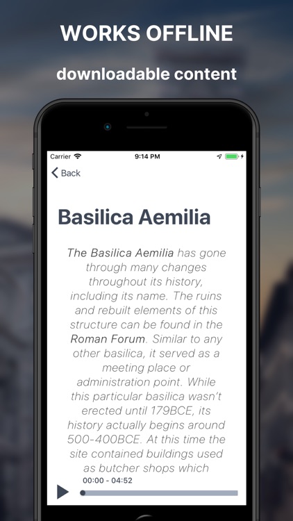 Discover Roman Forum - Guide screenshot-6