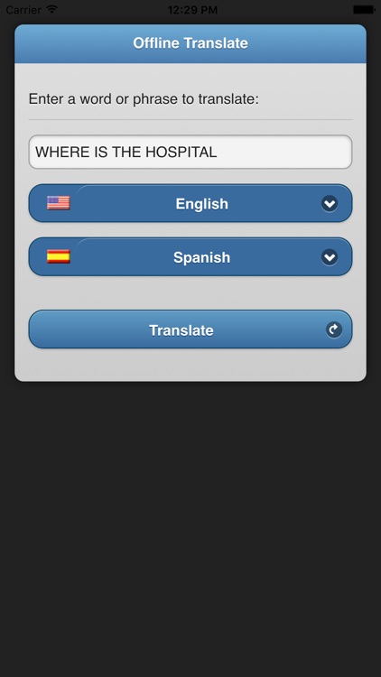 Offline Translate screenshot-0
