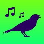 Cantos das Aves -Sons Pássaros
