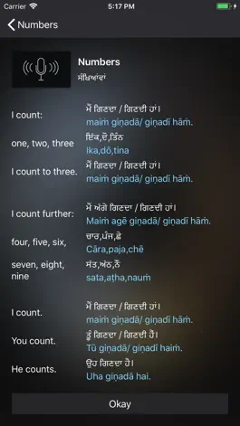 Game screenshot Fast - Speak Punjabi hack