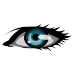 Vision Challenge