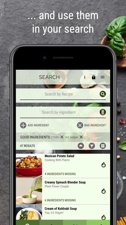 Vegan Recipe Browser screenshot-4