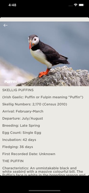 Skellig Michael(圖3)-速報App