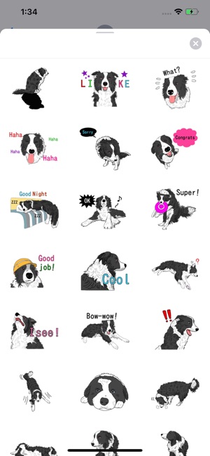 Border Collie Dog Icon Sticker(圖3)-速報App