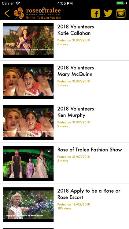 Rose of Tralee screenshot-5