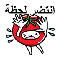 استكرات دردشة عربي pour PC