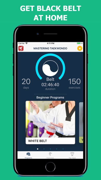Mastering Taekwondo Training screenshot 3