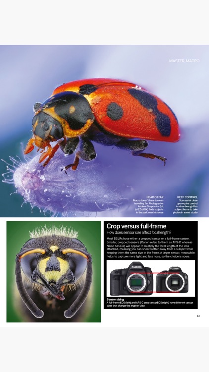 Digital Photographer Monthly