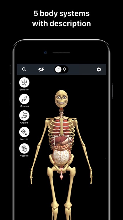 Discover Human Body AR