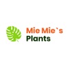 MieMie's Plant