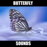 Get Butterfly Sound Effects! for iOS, iPhone, iPad Aso Report