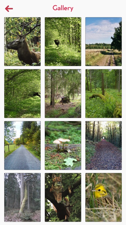 Bialowieza National Park Guide screenshot-3