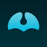 iRonfleGym sur PC