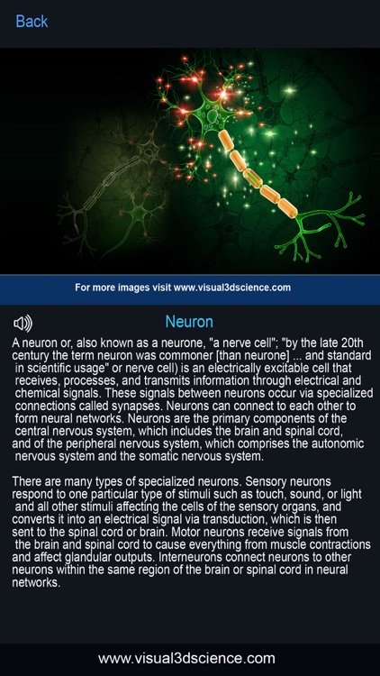 My Nervous System Anatomy screenshot-5