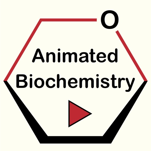 Metabolism