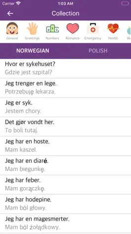 Game screenshot Norwegian Polish Dictionary apk
