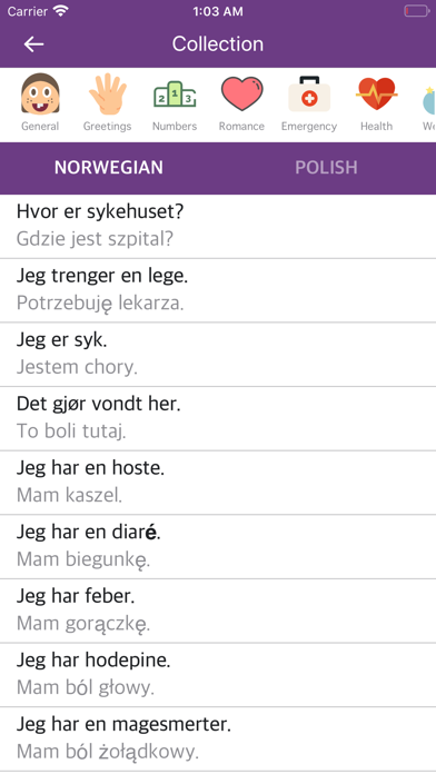Norwegian Polish Dictionary screenshot 2