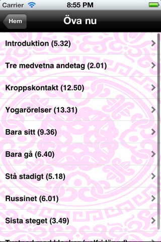 Mindfulness steg för steg - náhled