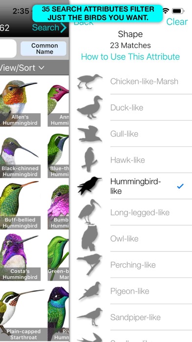 iBird Lite Guide to Birdsのおすすめ画像8