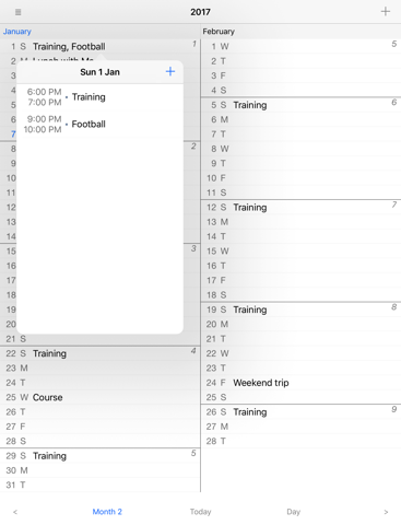 Month View Calendar - náhled