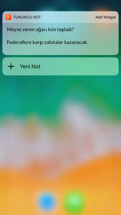 Turuncu Not screenshot 2