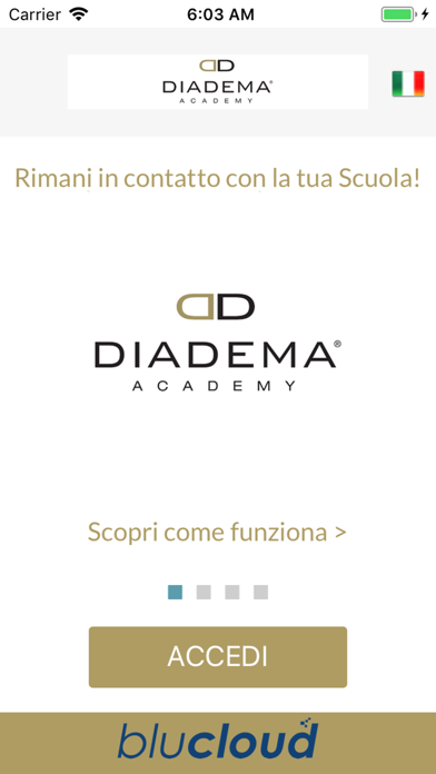 Diadema Academy screenshot 2