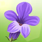 Lucky Lavender App Positive Reviews