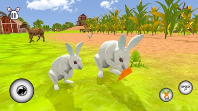 My Rabbit Bunny Simulator screenshot 3