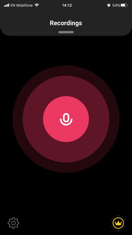 Voice Recorder Plus App