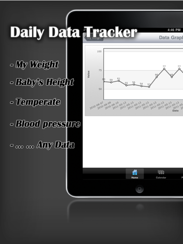Daily Data Tracker - náhled