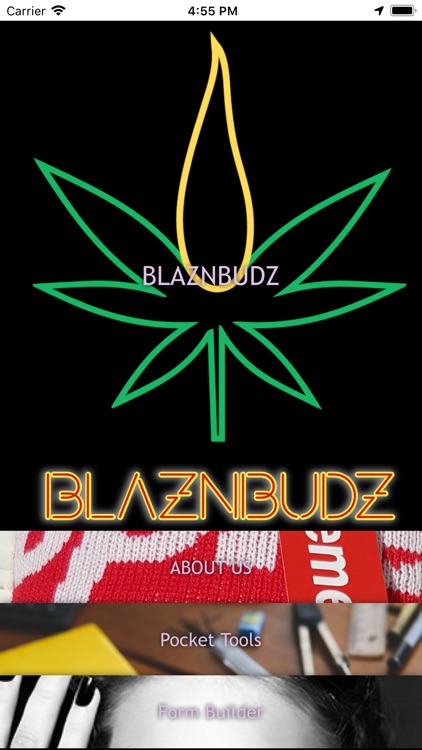 BLAZNBUDZ