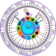 Pregnancy Wheel HD