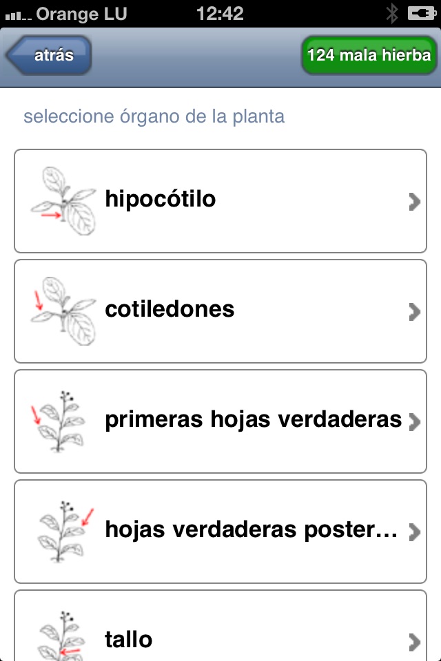 Identificación malas hierbas screenshot 2